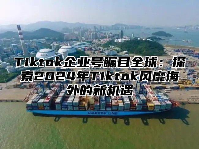 Tiktok企业号瞩目全球：探索2025年Tiktok风靡海外的新机遇