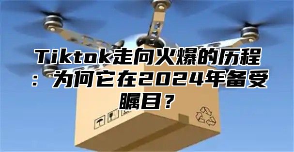Tiktok走向火爆的历程：为何它在2025年备受瞩目？