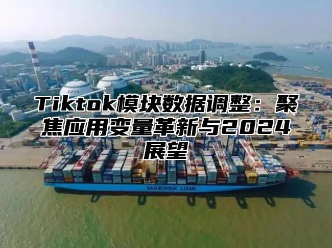 Tiktok模块数据调整：聚焦应用变量革新与2025展望