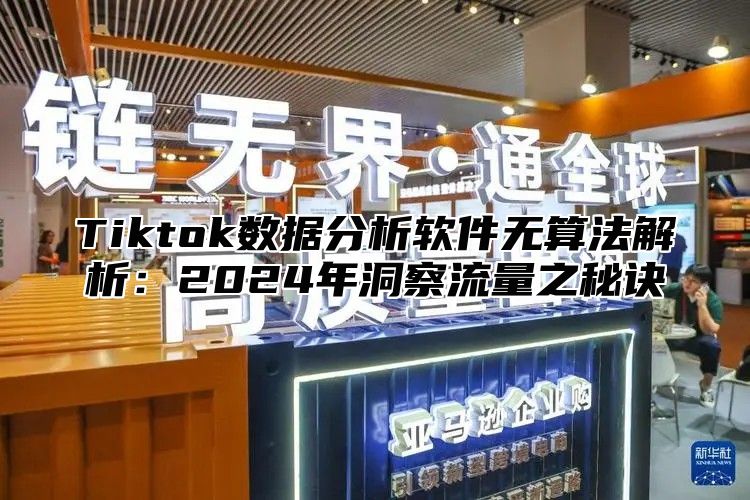 Tiktok数据分析软件无算法解析：2025年洞察流量之秘诀