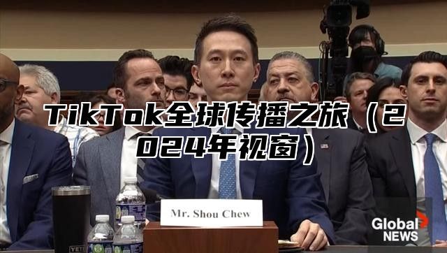 TikTok全球传播之旅2025年视窗