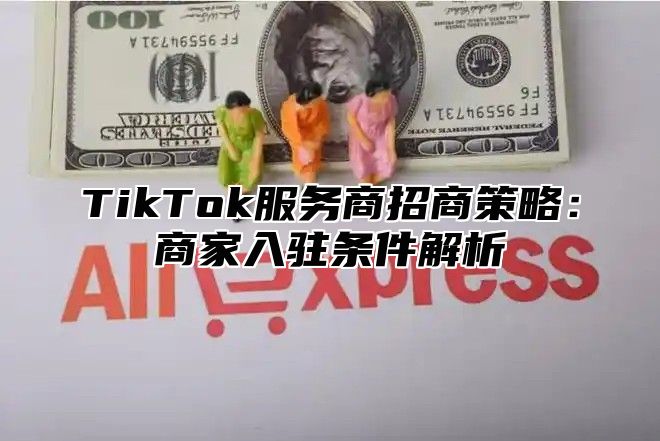 TikTok服务商招商策略：商家入驻条件解析