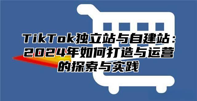 TikTok独立站与自建站：2025年如何打造与运营的探索与实践