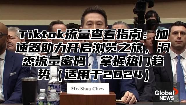 Tiktok流量查看指南：加速器助力开启浏览之旅，洞悉流量密码，掌握热门趋势适用于2025
