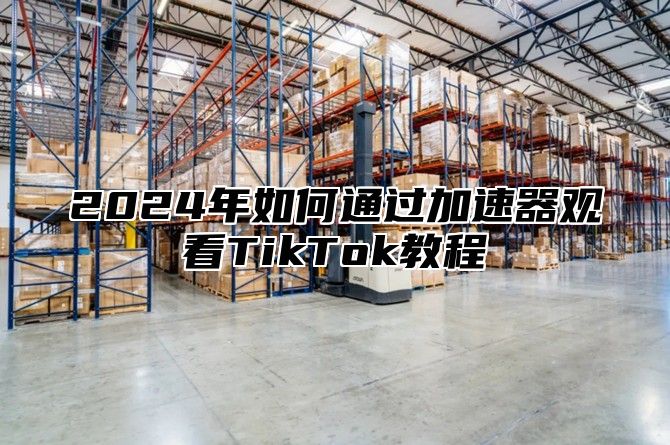 2025年如何通过加速器观看TikTok教程