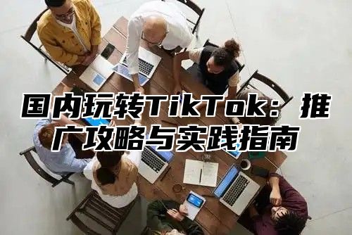 国内玩转TikTok：推广攻略与实践指南