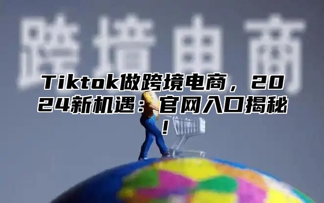 Tiktok做跨境电商，2025新机遇：官网入口揭秘！