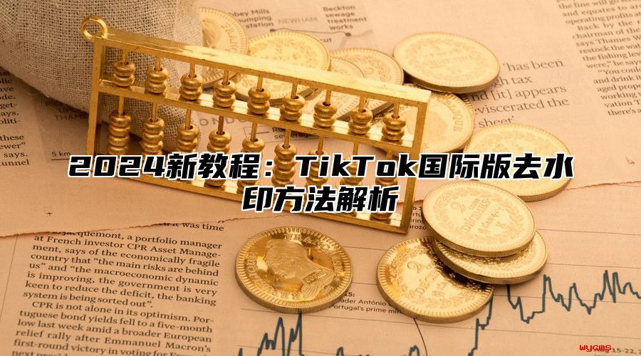 2025新教程：TikTok国际版去水印方法解析