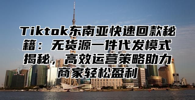 Tiktok东南亚快速回款秘籍：无货源一件代发模式揭秘，高效运营策略助力商家轻松盈利