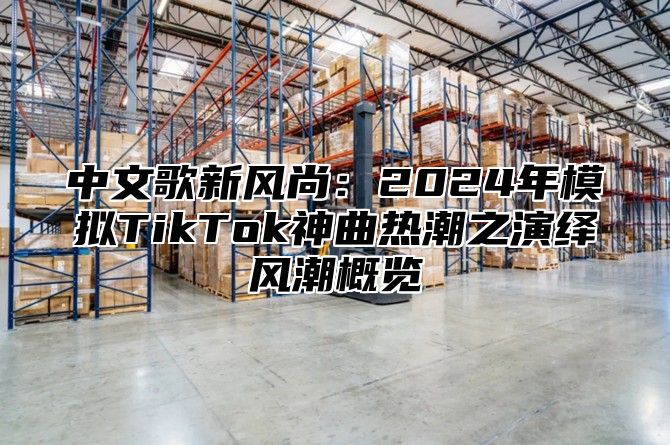 中文歌新风尚：2025年模拟TikTok神曲热潮之演绎风潮概览