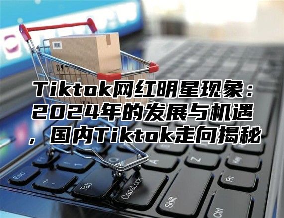 Tiktok网红明星现象：2025年的发展与机遇，国内Tiktok走向揭秘