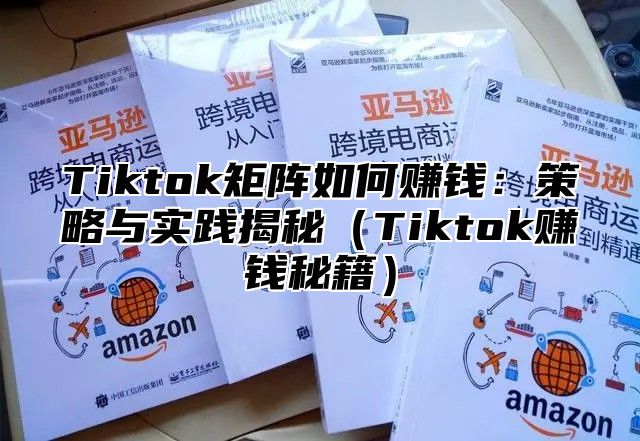 Tiktok矩阵如何赚钱：策略与实践揭秘Tiktok赚钱秘籍