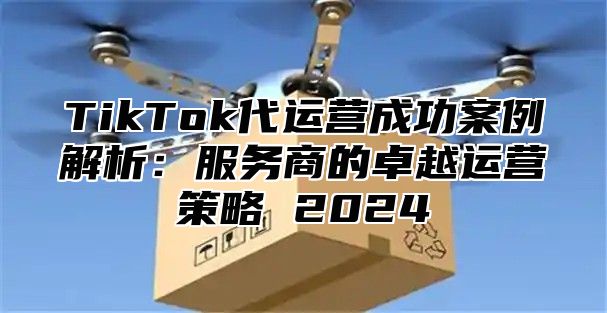 TikTok代运营成功案例解析：服务商的卓越运营策略 2025