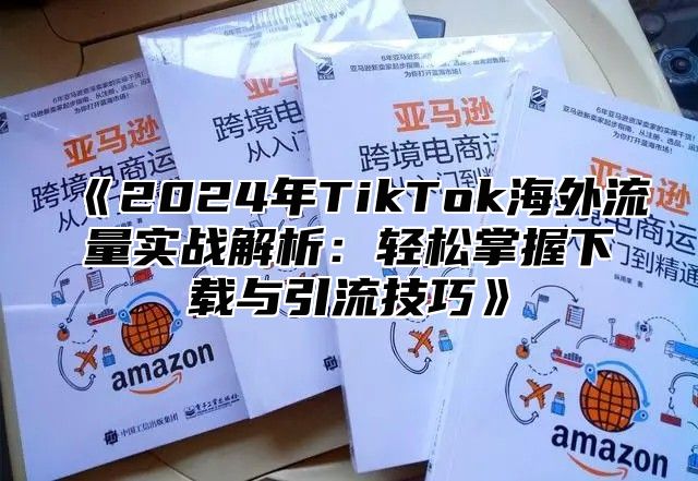 2025年TikTok海外流量实战解析：轻松掌握下载与引流技巧