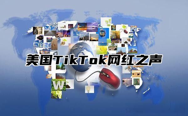 美国TikTok网红之声