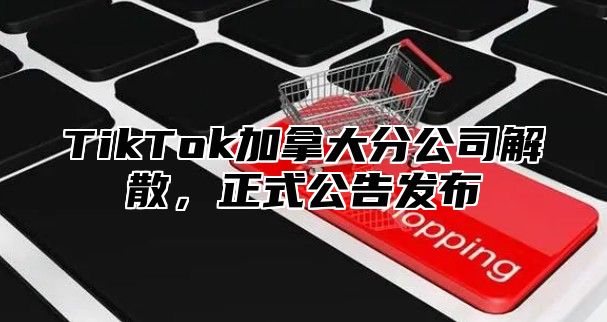 TikTok加拿大分公司解散，正式公告发布