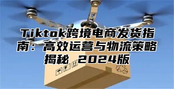 Tiktok跨境电商发货指南：高效运营与物流策略揭秘 2025版