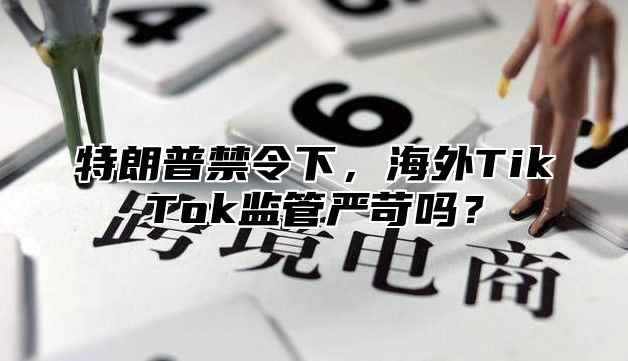 特朗普禁令下，海外TikTok监管严苛吗？