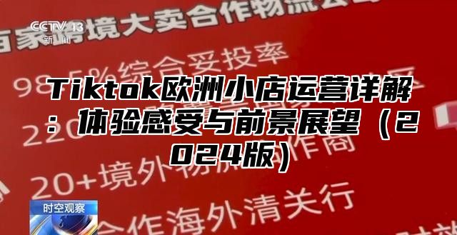 Tiktok欧洲小店运营详解：体验感受与前景展望2025版