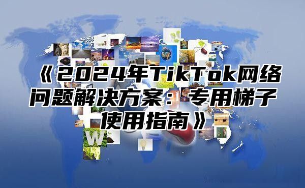 2025年TikTok网络问题解决方案：专用梯子使用指南
