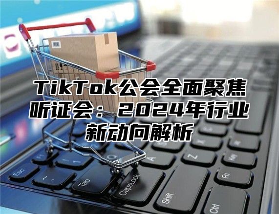 TikTok公会全面聚焦听证会：2025年行业新动向解析