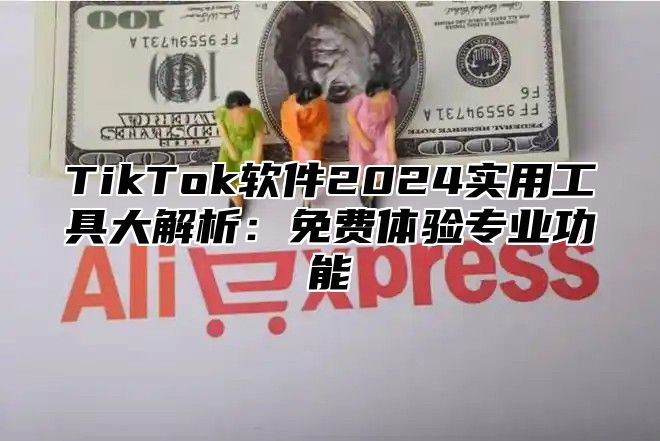 TikTok软件2025实用工具大解析：免费体验专业功能