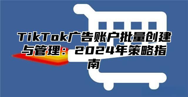 TikTok广告账户批量创建与管理：2025年策略指南