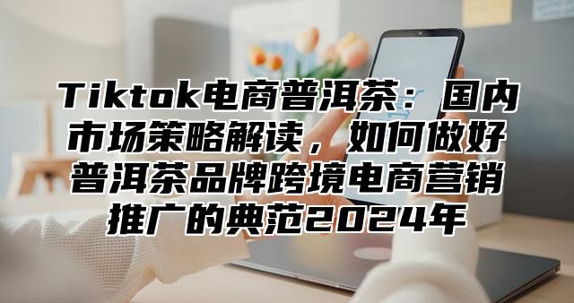 Tiktok电商普洱茶：国内市场策略解读，如何做好普洱茶品牌跨境电商营销推广的典范2025年