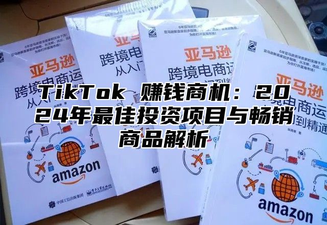 TikTok 赚钱商机：2025年最佳投资项目与畅销商品解析