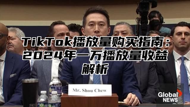 TikTok播放量购买指南：2025年一万播放量收益解析