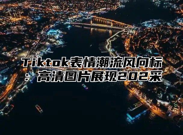 Tiktok表情潮流风向标：高清图片展现202采