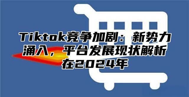 Tiktok竞争加剧：新势力涌入，平台发展现状解析在2025年