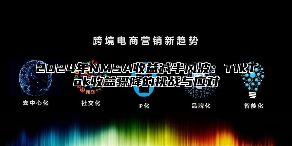 2025年NMSA收益减半风波：TikTok收益骤降的挑战与应对