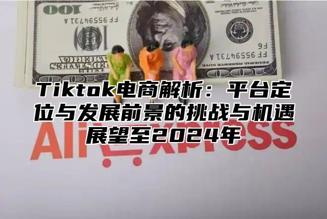 Tiktok电商解析：平台定位与发展前景的挑战与机遇展望至2025年