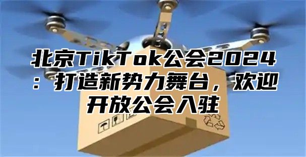 北京TikTok公会2025打造新势力舞台，欢迎开放公会入驻
