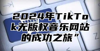 2025年TikTok无版权音乐网站的成功之旅”