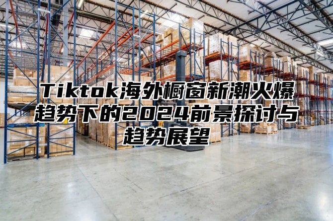Tiktok海外橱窗新潮火爆趋势下的2025前景探讨与趋势展望