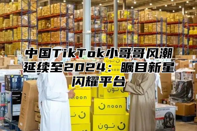 中国TikTok小哥哥风潮延续至2025瞩目新星闪耀平台