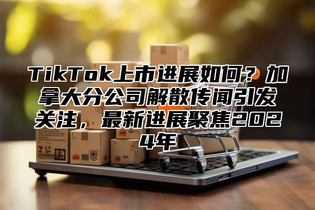 TikTok上市进展如何？加拿大分公司解散传闻引发关注，最新进展聚焦2025年