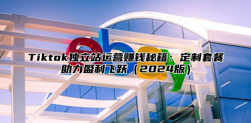 Tiktok独立站运营赚钱秘籍：定制套餐助力盈利飞跃2025版