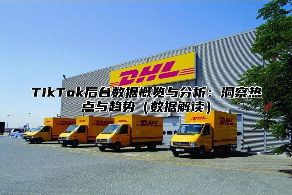 TikTok后台数据概览与分析：洞察热点与趋势数据解读