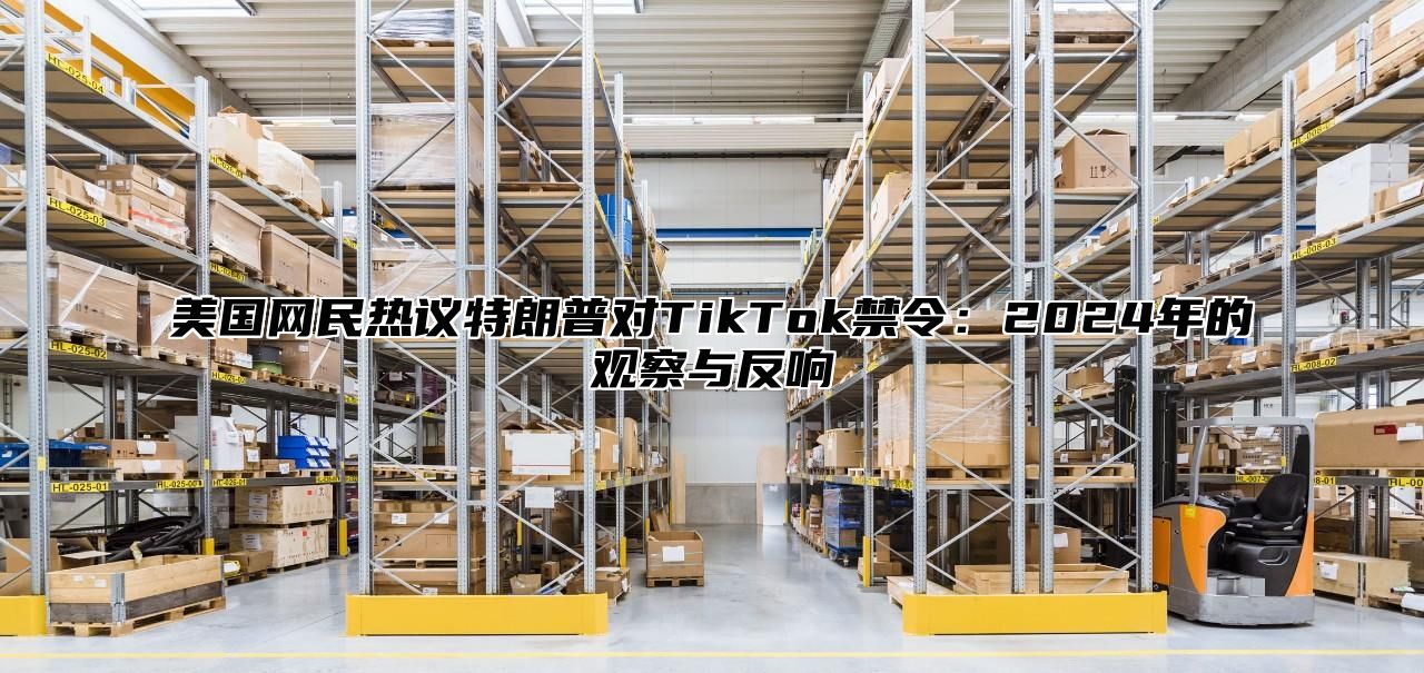 美国网民热议特朗普对TikTok禁令：2025年的观察与反响