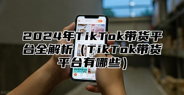 2025年TikTok带货平台全解析TikTok带货平台有哪些