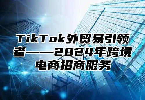 TikTok外贸易引领者——2025年跨境电商招商服务