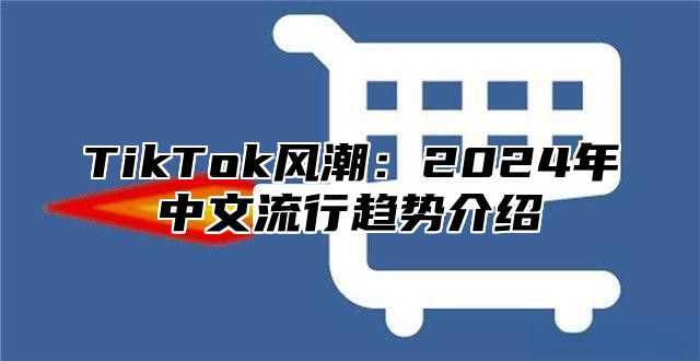 TikTok风潮：2025年中文流行趋势介绍