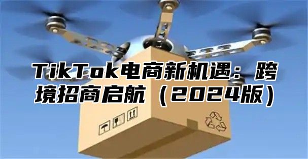 TikTok电商新机遇：跨境招商启航2025版