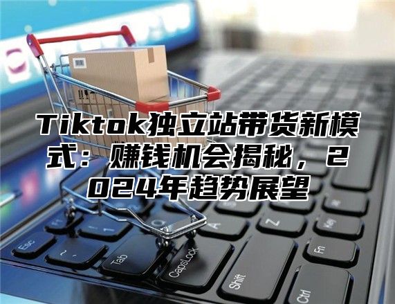 Tiktok独立站带货新模式：赚钱机会揭秘，2025年趋势展望