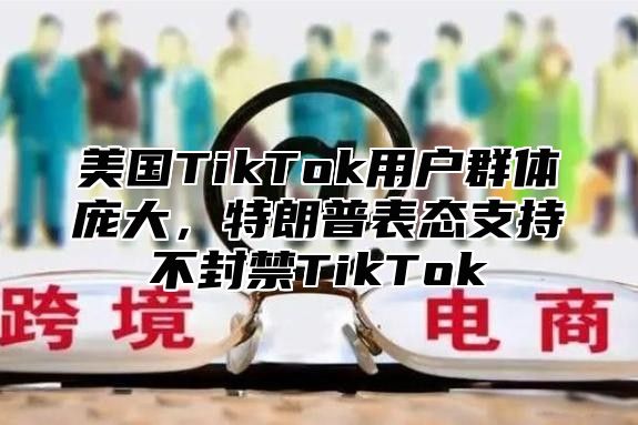 美国TikTok用户群体庞大，特朗普表态支持不封禁TikTok