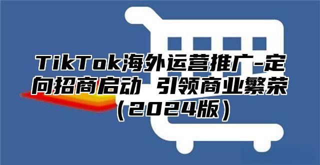 TikTok海外运营推广-定向招商启动 引领商业繁荣2025版