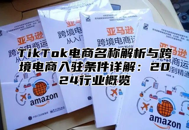 TikTok电商名称解析与跨境电商入驻条件详解：2025行业概览
